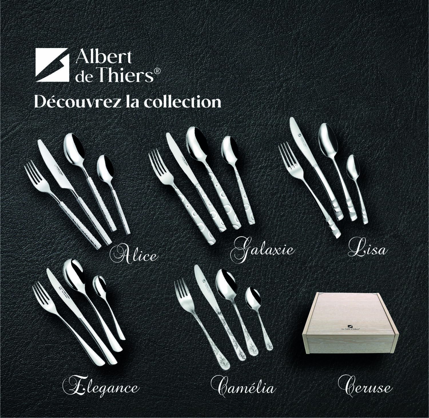 ALBERT DE THIERS - A0819998 - Ménagère 48 Pièces - Collection Élégance - Service pour 12 Personnes - Acier Inoxydable - Finition Poli Miroir - Coffret Bois - 3,80 kg, Silver