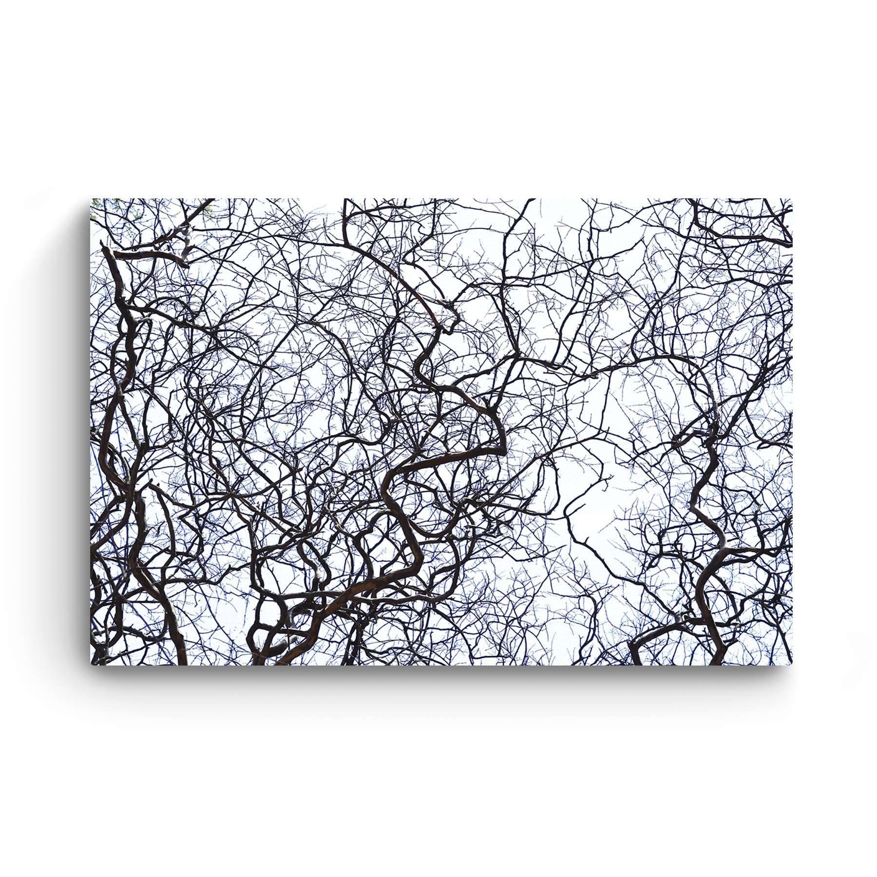Startonight Quadro su Tela Filiali, Grandi Quadri Natura Astratti Moderni Stampe Grande per Soggiorno Stampe Incorniciate 80x120 cm, Decorazione Parete, Idea Regalo Elegante Luminoso al Buio