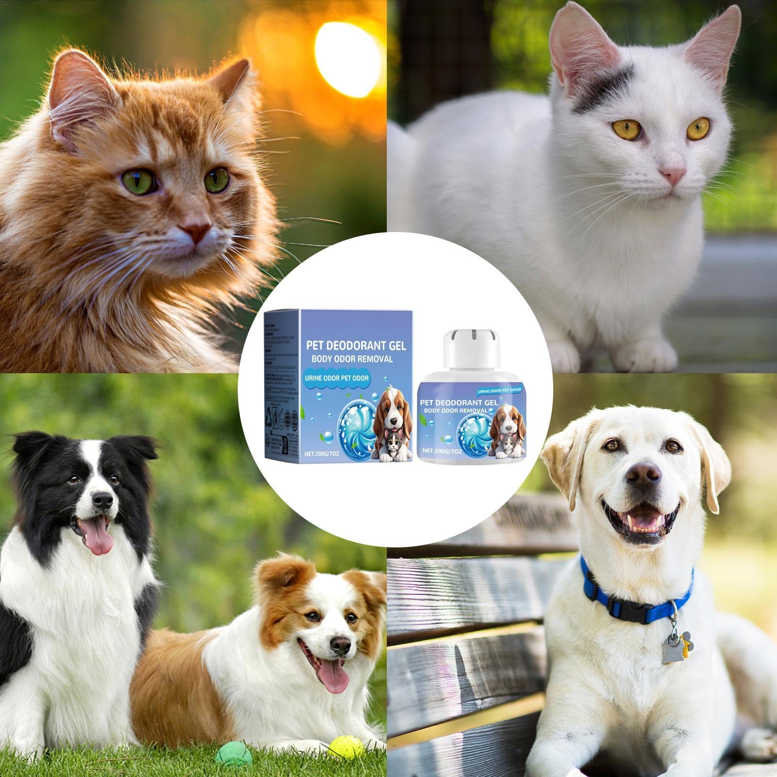 Air Care Duftgel für Haustiere, für Hunde, geruchsneutralisierendes Gel, kühlendes Gel, Haustierfreundlich, langanhaltend, natürlicher Pflanzenextrakt