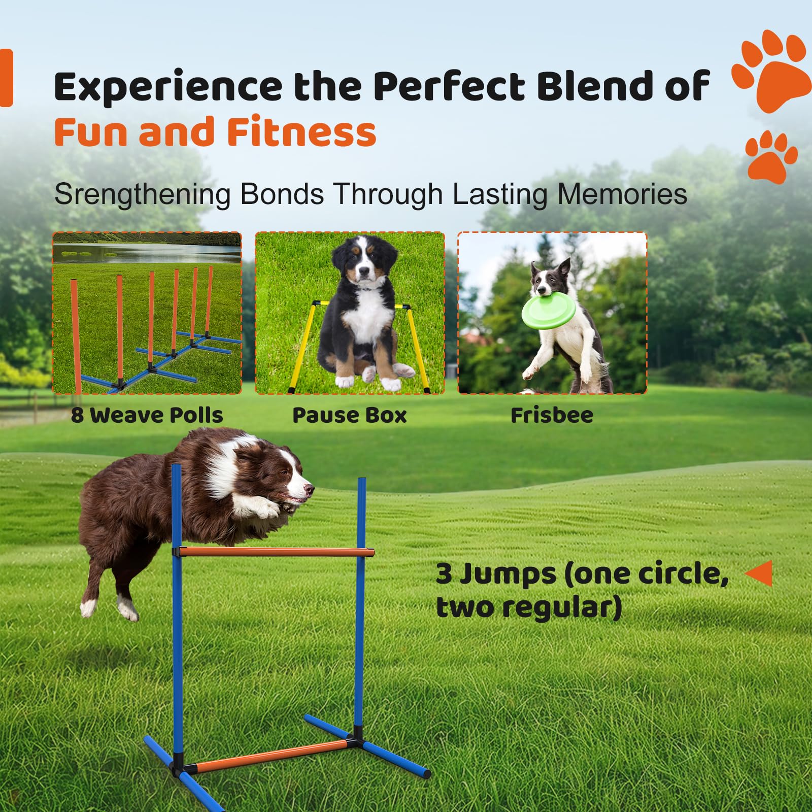 4 Sets Pets Agility Training Equipment - Adjustable Dog Hoop, Jump, Weave & Blind Poles, Pause Box for Outdoor Obstacle Course - image 2