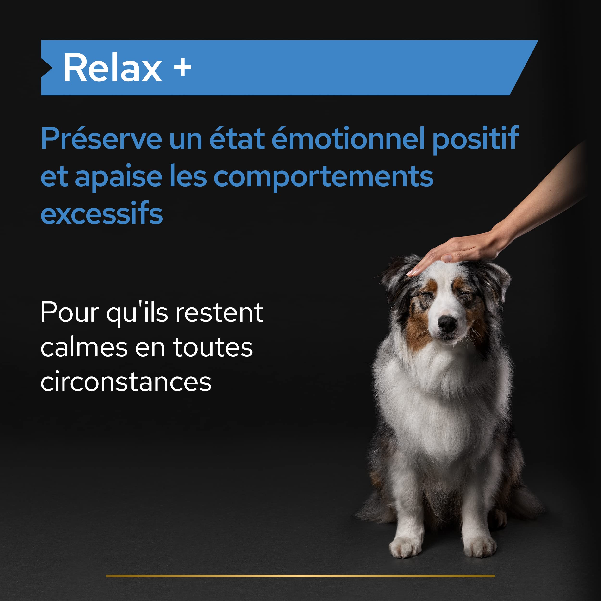 PURINA PRO PLAN | Relax+ | Chien | Aliment complémentaire pour Chien Adulte | Apaise et calme les comportements excessifs, préserve un état émotionnel positif| Huile | Bouteille de 250ml