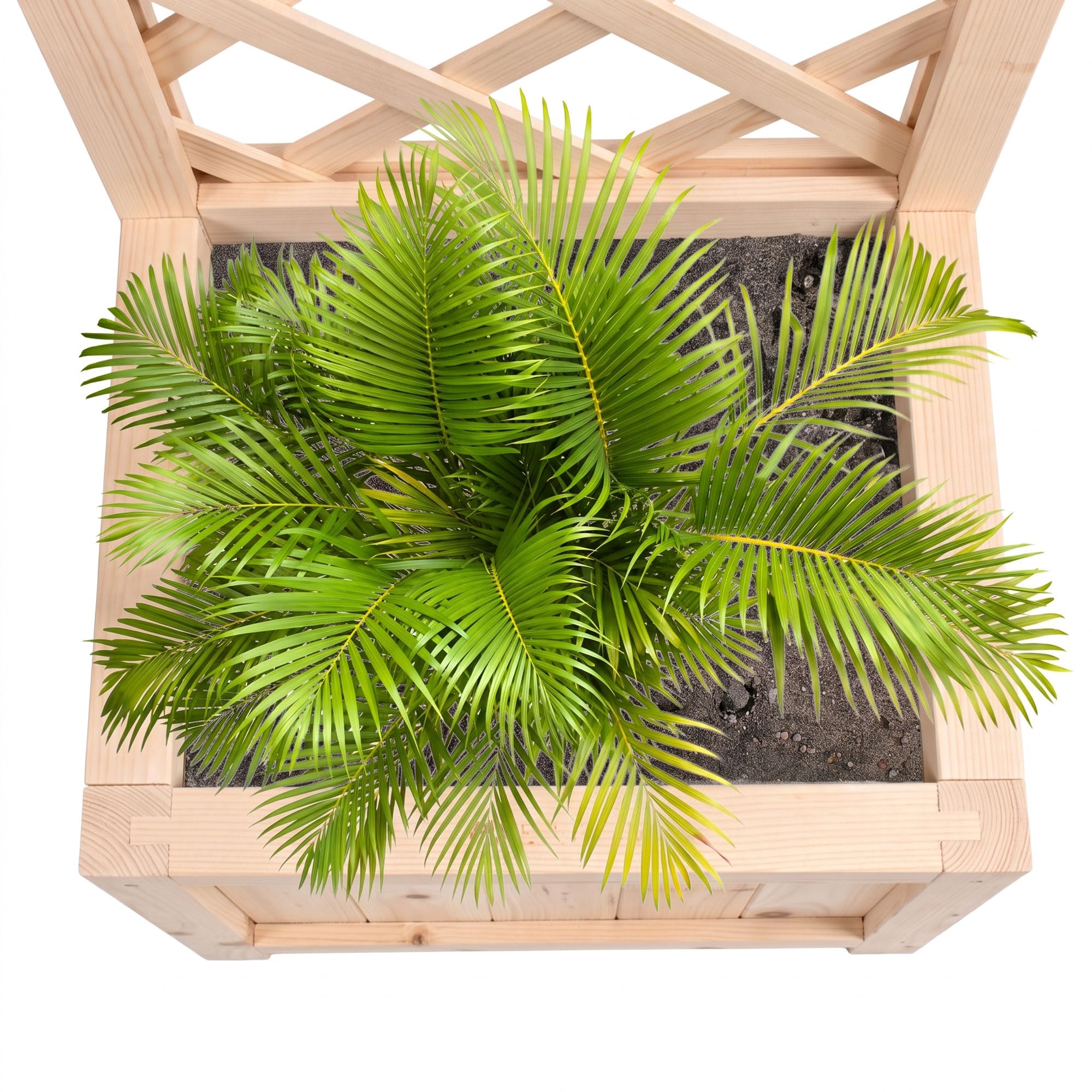 FRANKYSTAR® Rosy - Fioriera da Esterno con Grigliato 35x120x30 cm per Piante Rampicanti in Legno di Cedro Impregnato Natural Oak