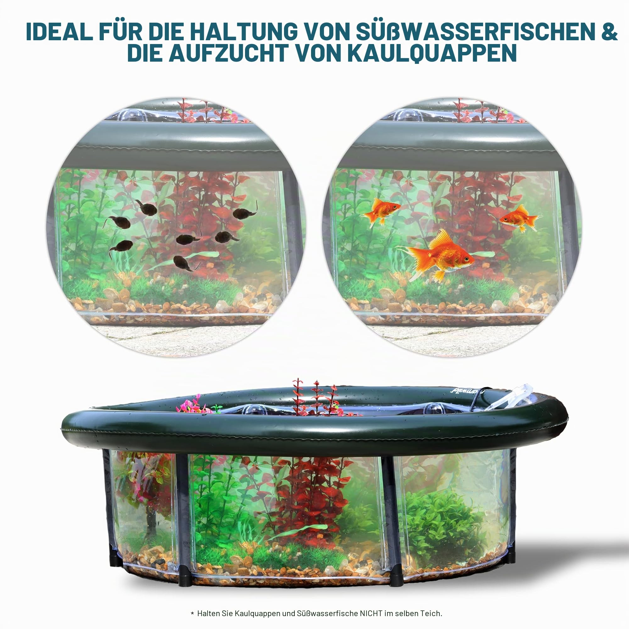 Roamwild Pop-Up-Teich-Wasserspiel-Set 700 mm 270 mm 105 l erhöhtes Aquarium Belüftungspumpe