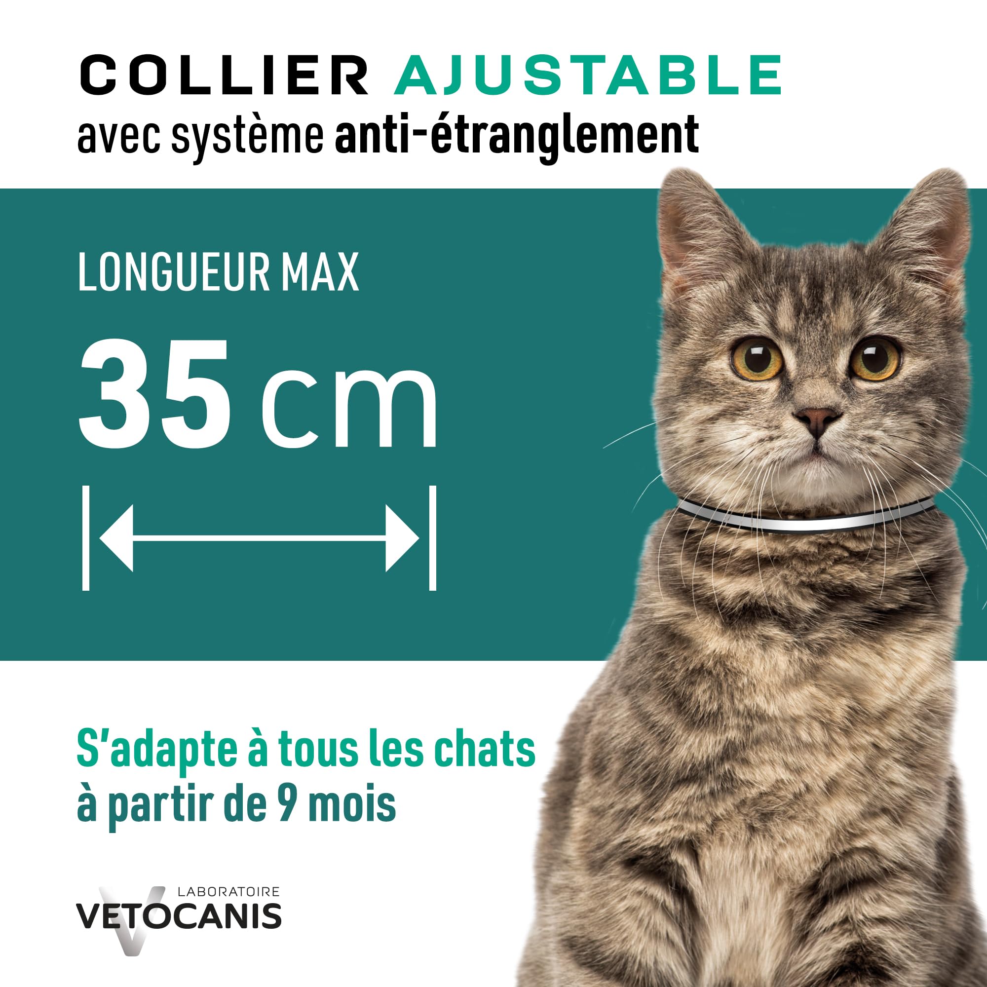 Vetocanis | Collar Antiparasitario Gatos | Protección y Tratamiento Antiparasitario Gatos | Eficaz 3 Meses | Para Gatos de + de 9 Meses | Banda Reflectante | Formulado bajo Control Veterinario