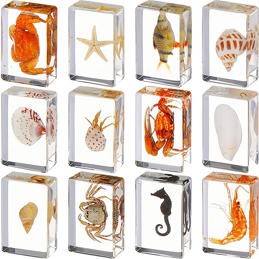 12 Pcs Insect in Resin Specimen Bugs Collection Paperweights Arachnid Resin Specimen Different Insect Specimen Bug Preserved in Resin for Kids Scientific Educational Toy, 12 Styles (Ocean Theme)