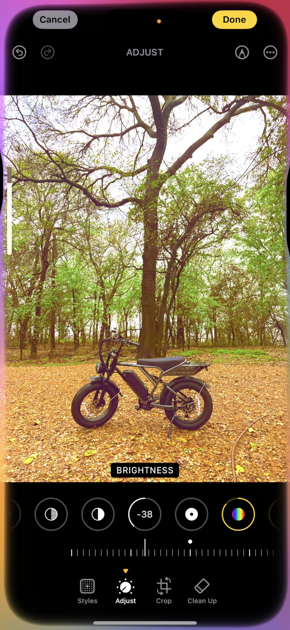 Customer Image