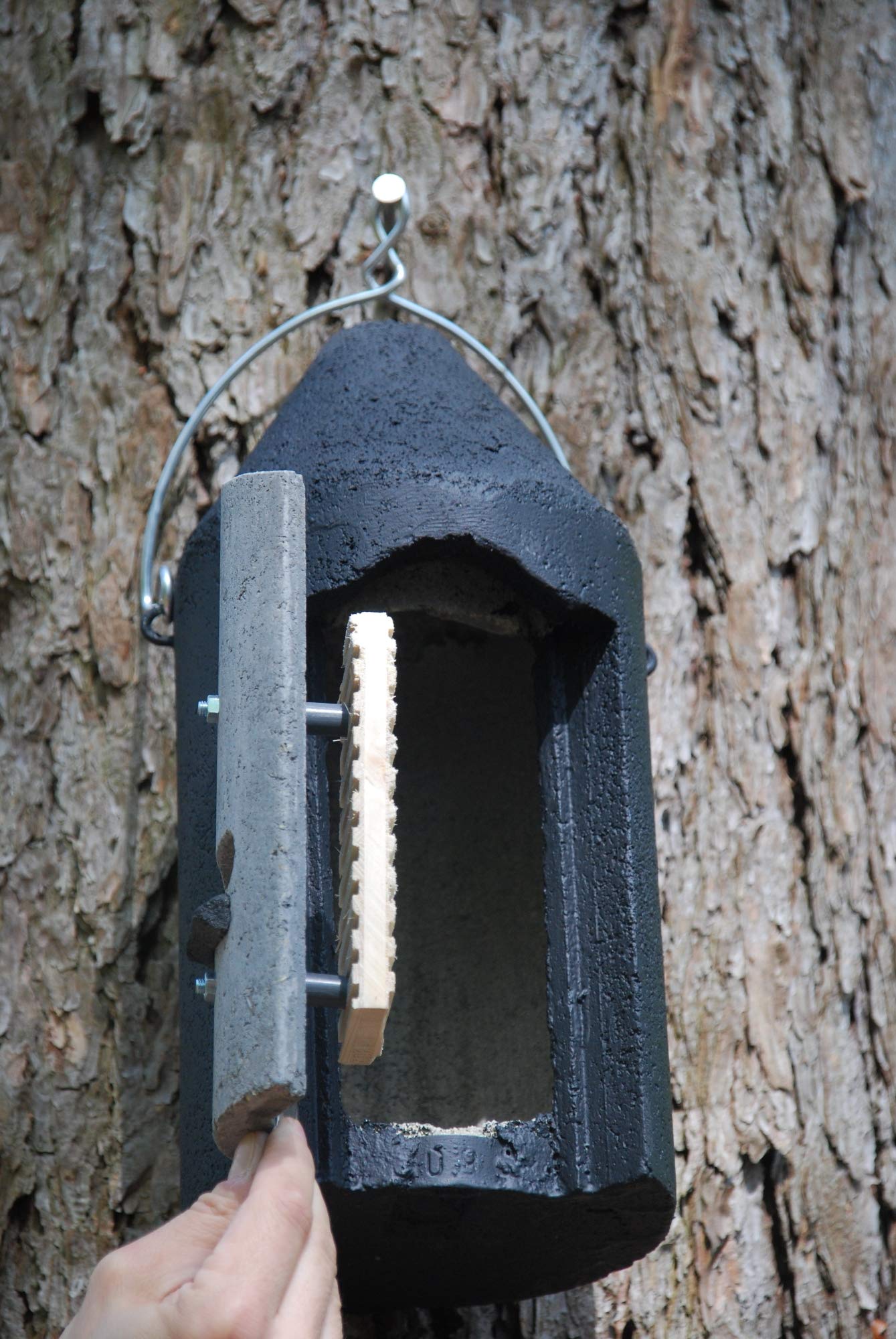 Fledermaushöhle 2F mit Holzplatte