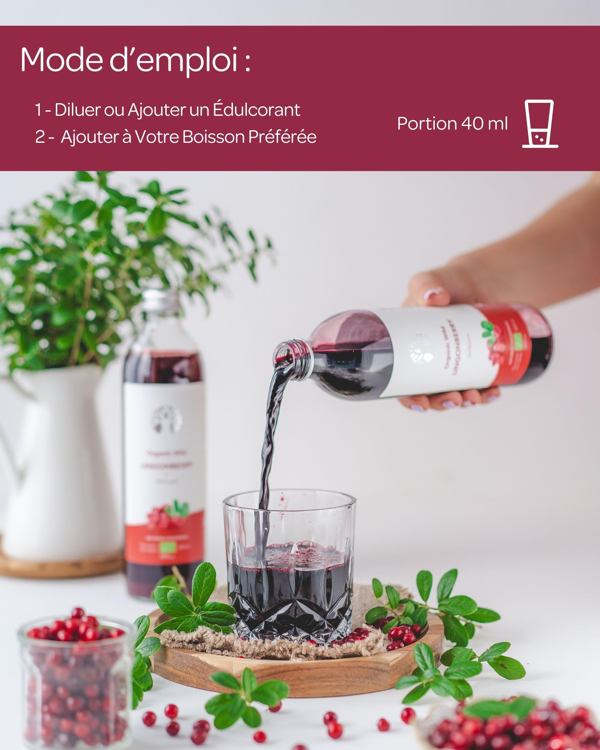 Jus de canneberge sauvage bio – 100% pur, pressé à froid, sans sucre ni eau ajoutés – 6 bouteilles en verre de 500 ml