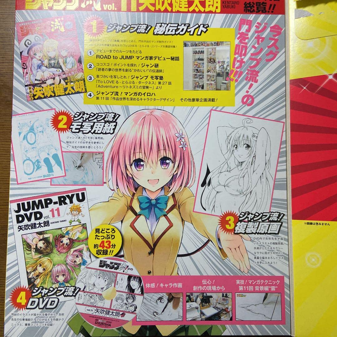 Amazon.co.jp: ToLOVEる超ジャンプ流 まるごと矢吹健太朗 付属品 : ホビー