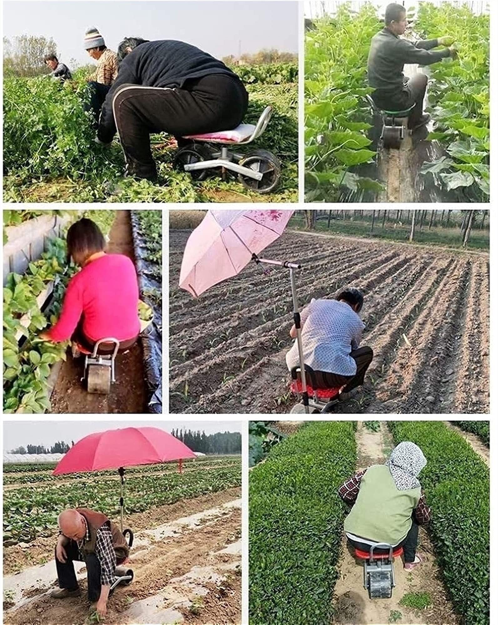 Seggiolino da giardinaggio su ruote con porta attrezzi per piccoli attrezzi da giardino, verde