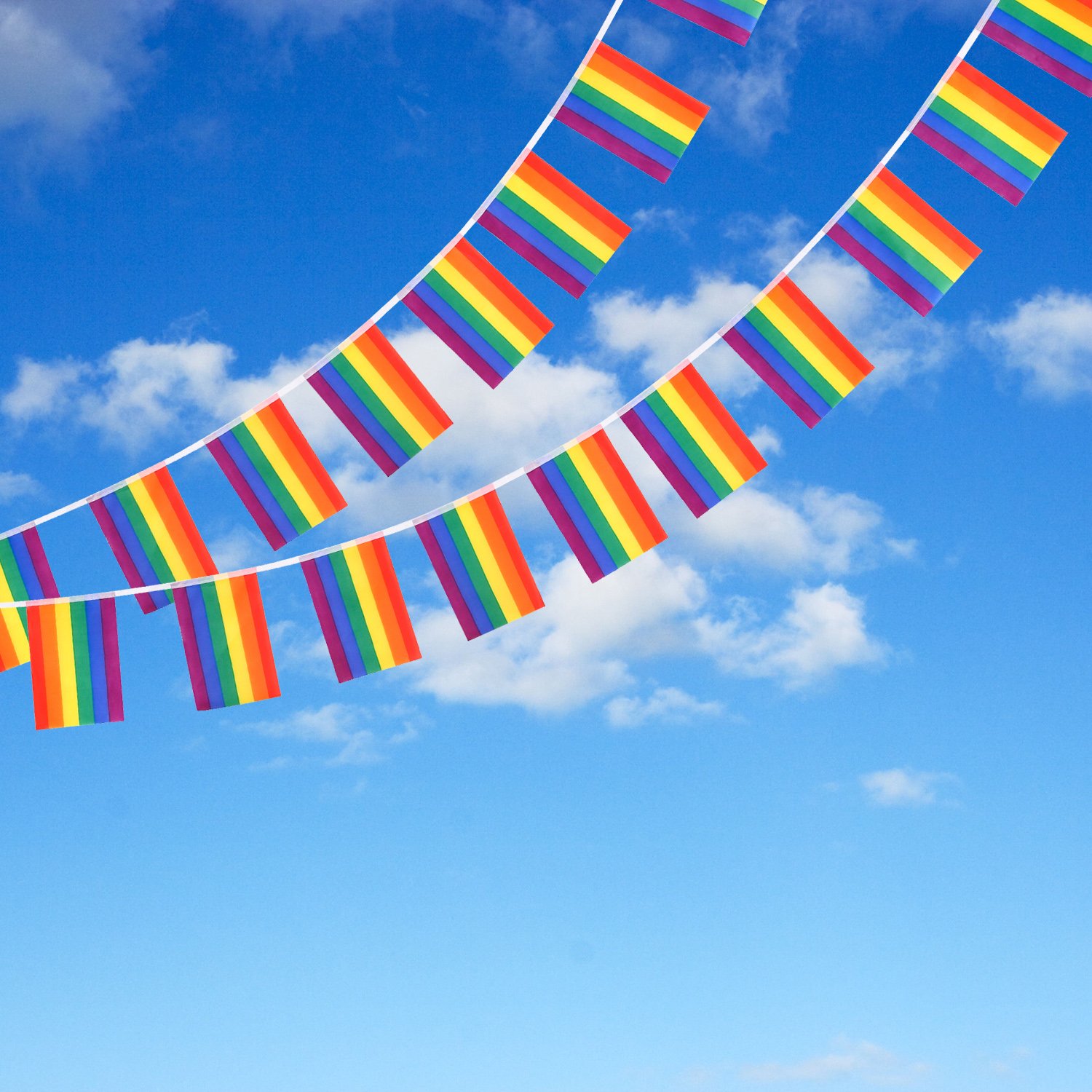 Pride Party Decorations HOWAF Gay - Rainbow Flags Banner, Love Is Love ...