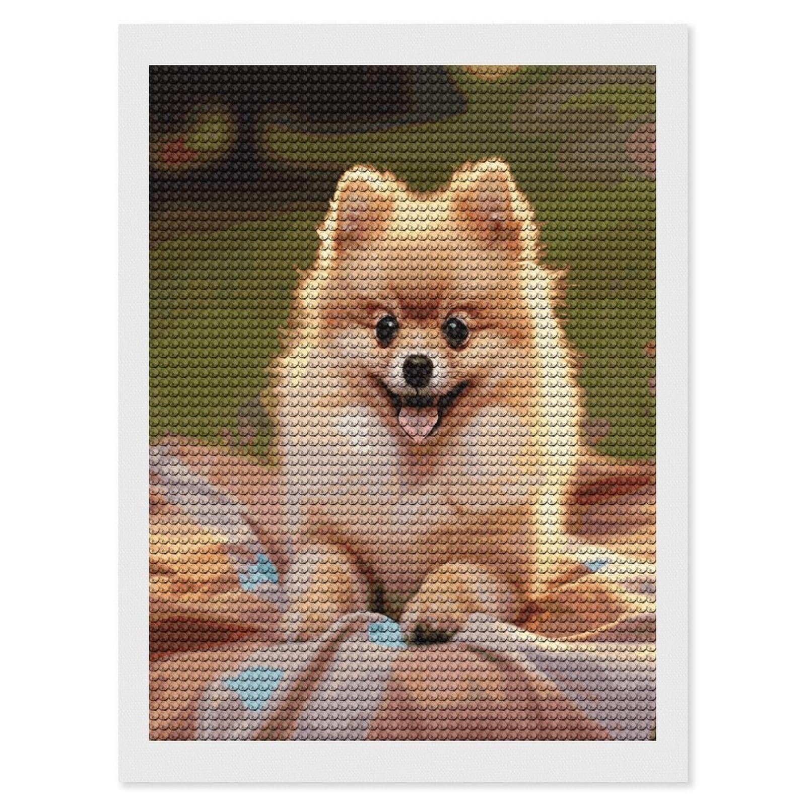 LDGSUPH Short-haired Pomeranian Diamond Painting Kits for Adults Paint with Diamond Pictures Art DIY Full Drill Diamond Dots Painting Personalized Diamond Photo for Home Wall Decor Gift 12"x16"