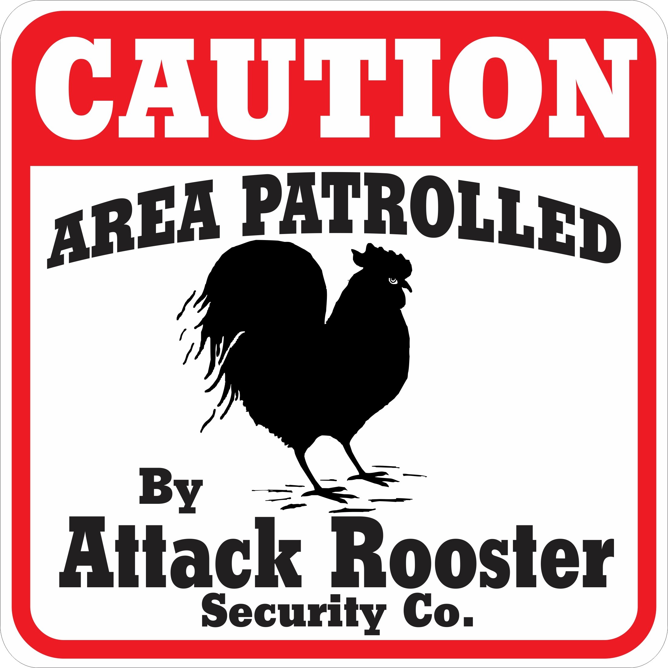 邦楽 THE ROOSTERSZ \"VIRUS SECURITY\" 獲物の分け前～ザ・ルースターズ『THE ROOSTERS(Z) OFFICAL