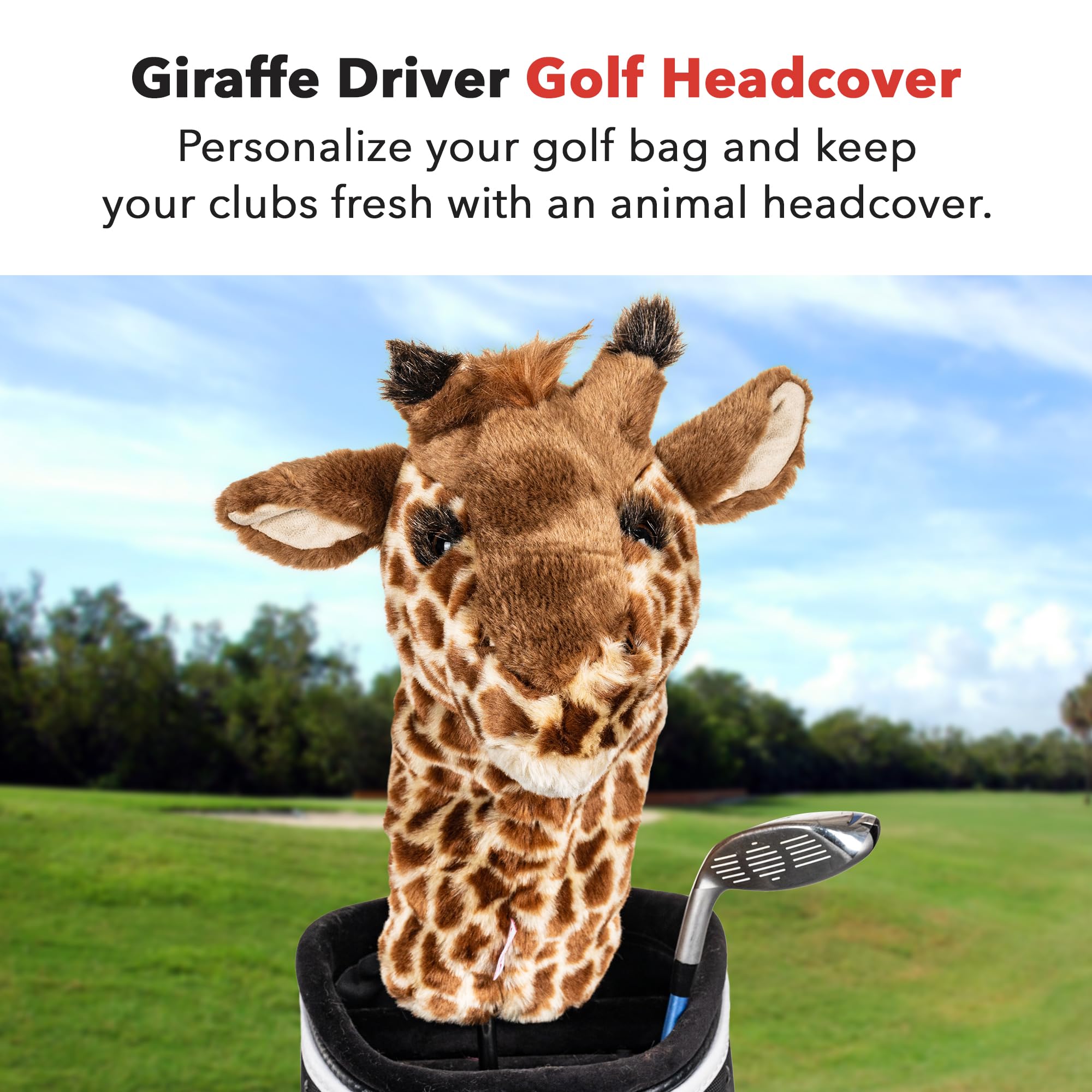 Daphne's Schlägerhauben Giraffe