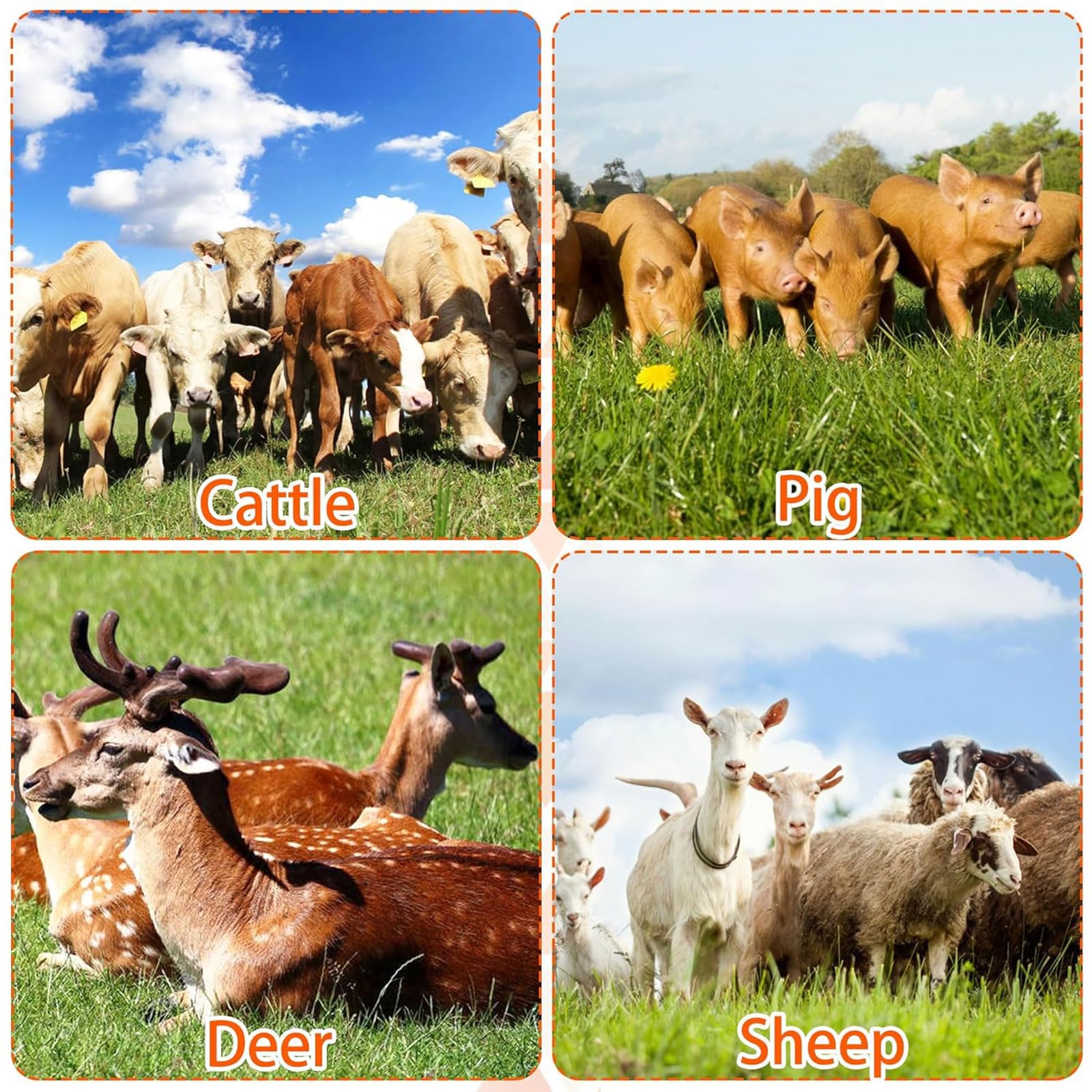 Cepillo para rascar Ganado,raspador semicircular Cepillos de Masaje,4 Pack,Alivia la picazón,Masaje y Peinado,Aliviar Las emociones,para Caballo,Cabra,Vaca,Oveja,Cerdo,Ganado