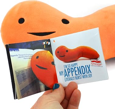 I Heart Guts Appendix Plush - 10.5 Cute Educational Organ Toy for Appendicitis & Appendectomy - Funny Get Well Recovery Gift for Surgery Nurse Patients & Medical Student STEM Anatomy Plushie