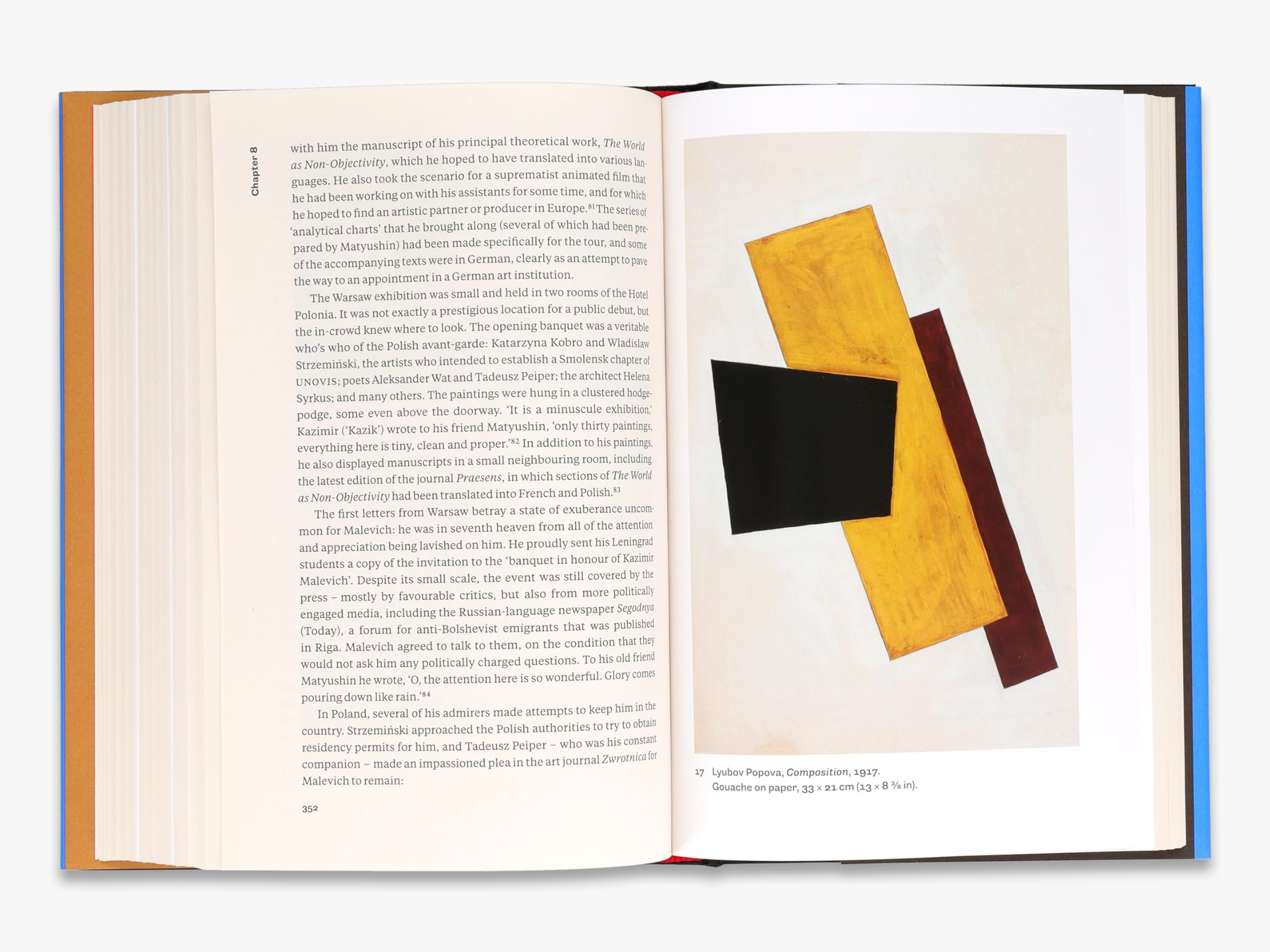 Amazon.co.jp: Sjeng Scheijen: 本、バイオグラフィー、最新