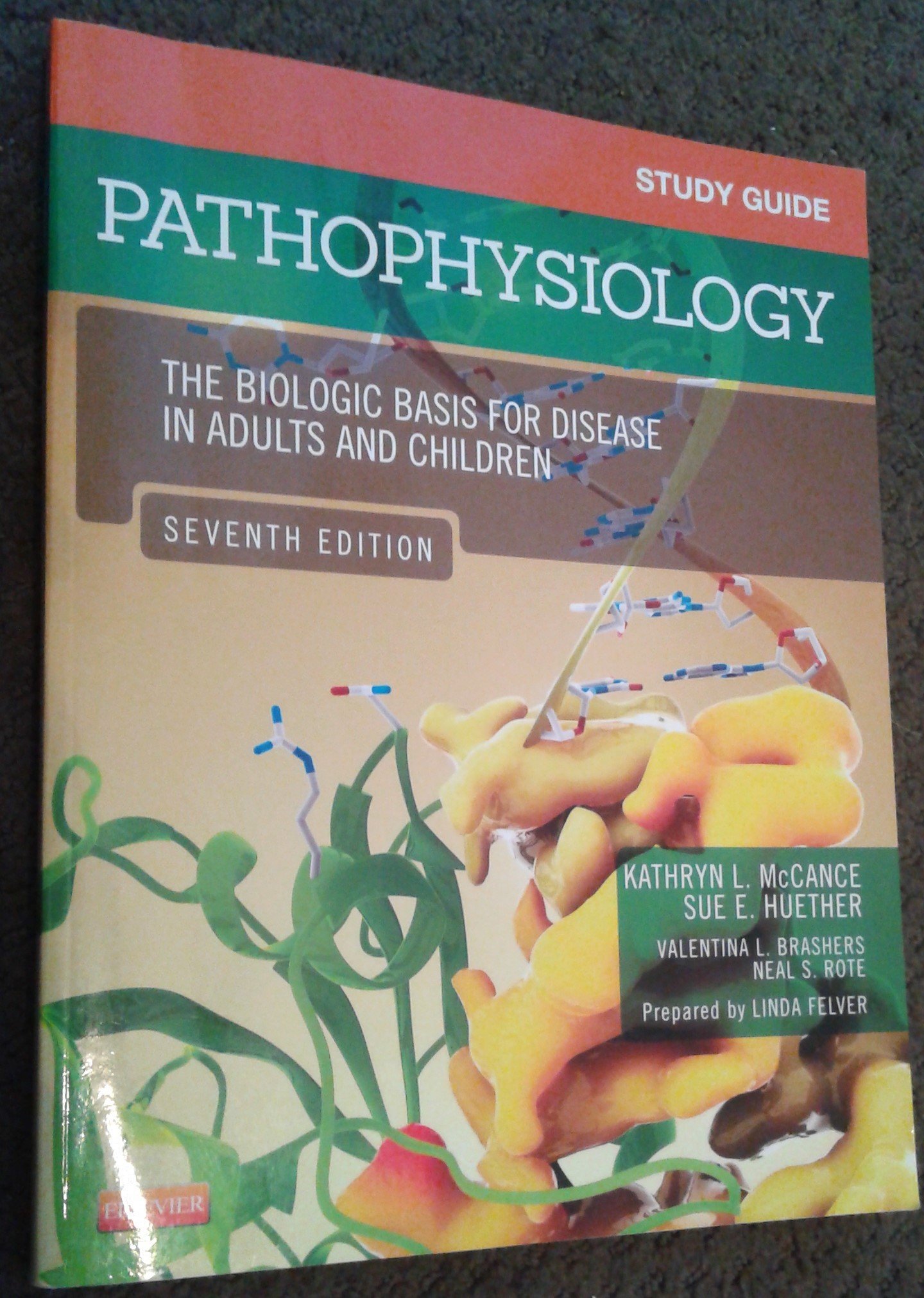 Study Guide for Pathophysiology: The Biological Basis for Disease in Adults and Children