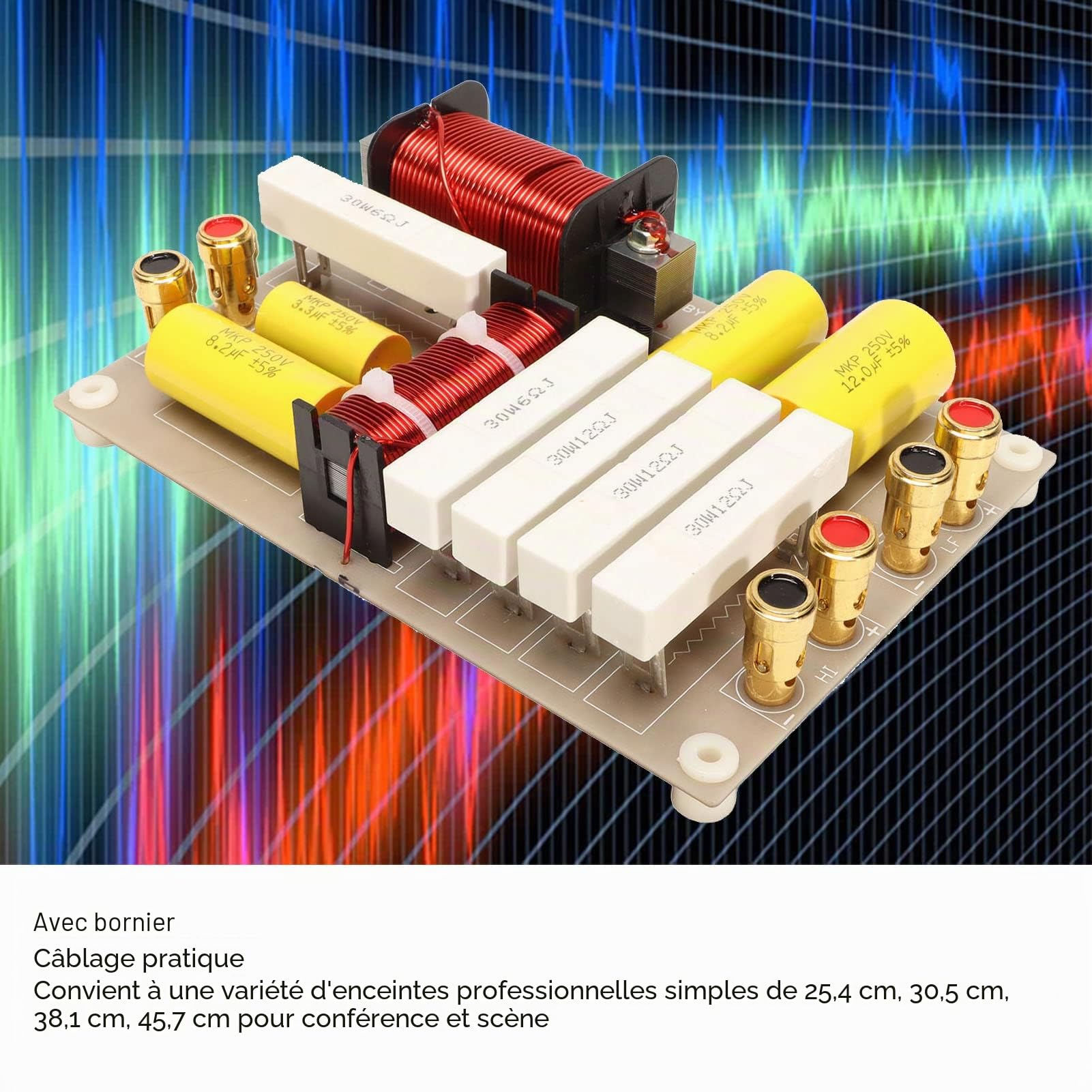 Crossover passif 2 voies, câblage facile Filtres croisés 2 voies PCBA Professional Treble Bass 800W Haute puissance pour haut-parleur de scène
