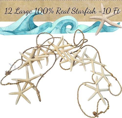 Miniatura 6 de Guirnalda de playa costera de Navidad de 10 pies (120 pulgadas) con 12 piezas de estrellas de mar reales, decoración náutica, decoraciones de fiesta