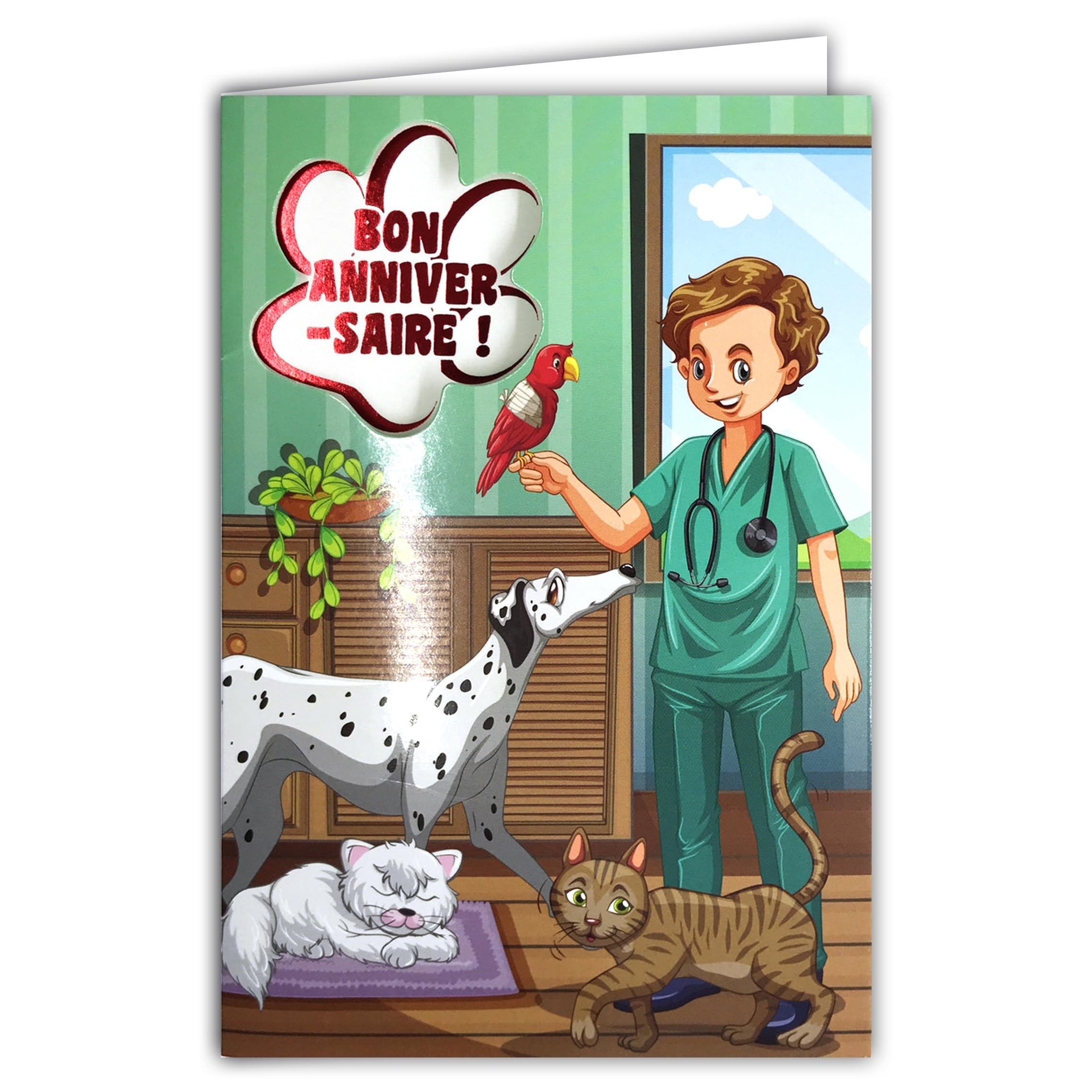 AFIE Happy Birthday Card Boy Veterinarian Carer Cats Dog Dalmatian Parrot Bird Pets Illustration Youth with Yellow Envelope 12 x 17.5 cm 67-1087-A