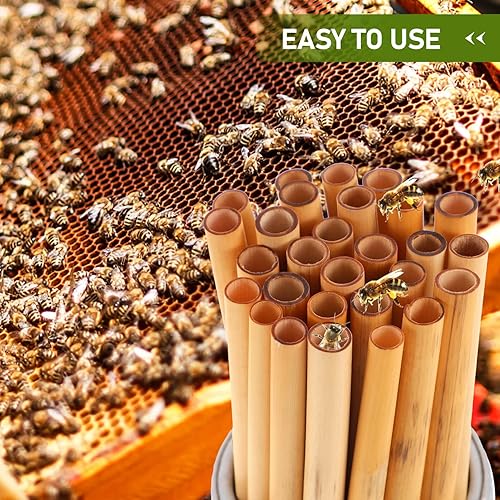 Miniatura 3 de TEHAUX Varillas de bambú, 50 unidades, tubos de cartón para abejas, tubos de repuesto para apicultores, tubos de recambio de anidación, insertos de