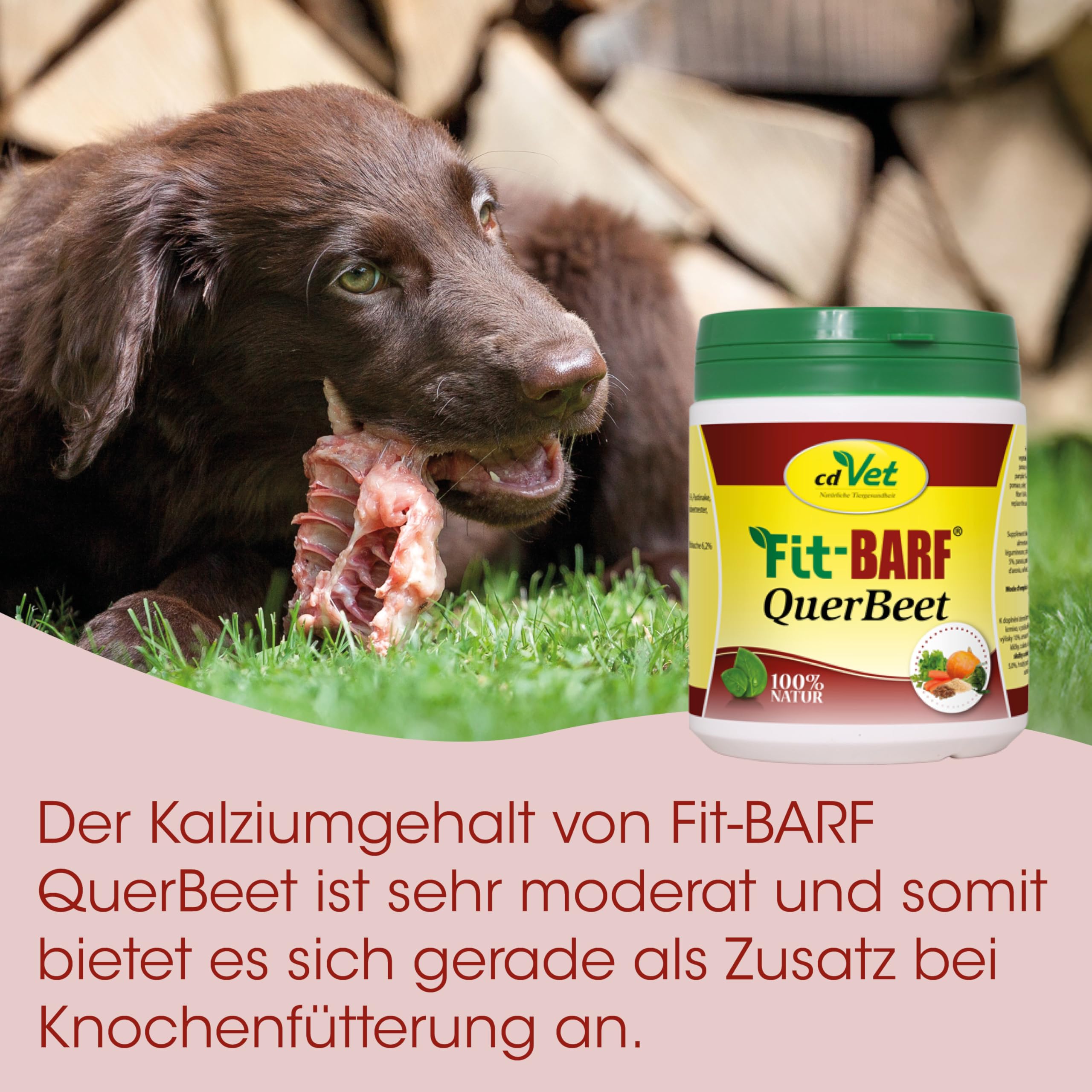 Fit-BARF QuerBeet für Hunde 2,5kg - Ergänzungsfutter Gemüse-Obst-Pulver für gesunde Rohfütterung