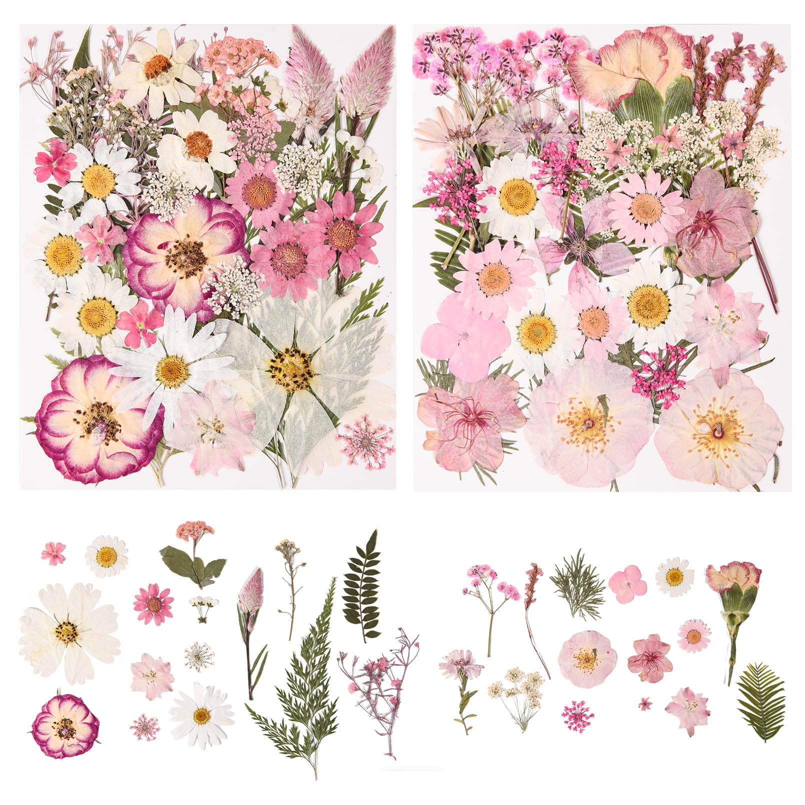 nisetten 80PCS Pink Pressed Dried Flowers Dry Leaves - dried and preserved flora | Mubboo