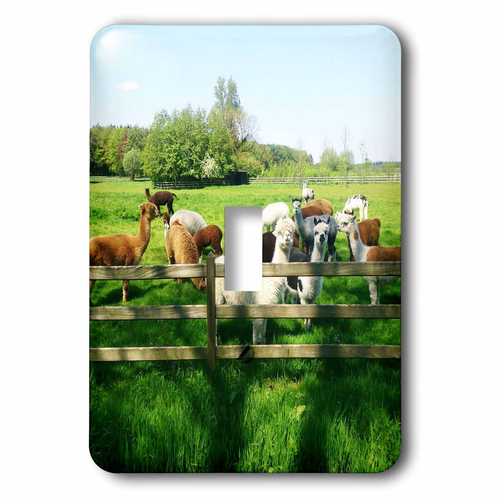 Interrupteur Alpaca Lama cache plaque murale usée multicolore