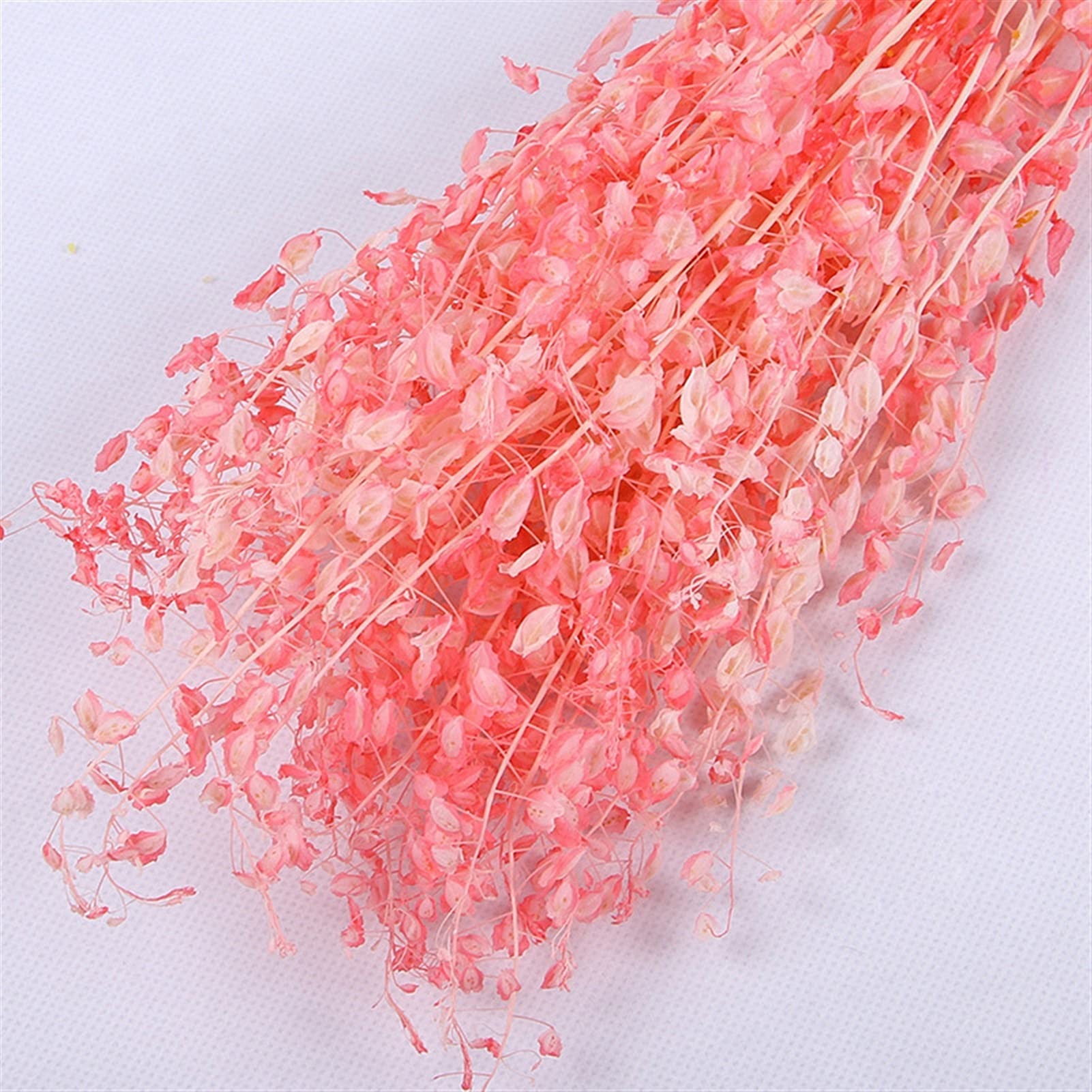 Fleurs séchées naturelles 60-80g, bouquet de fleurs de ventilateur vert séché naturel, plante réelle éternelle arrange fleurs sèches pour la décoration de la table de mariage Décoration de fête de mar