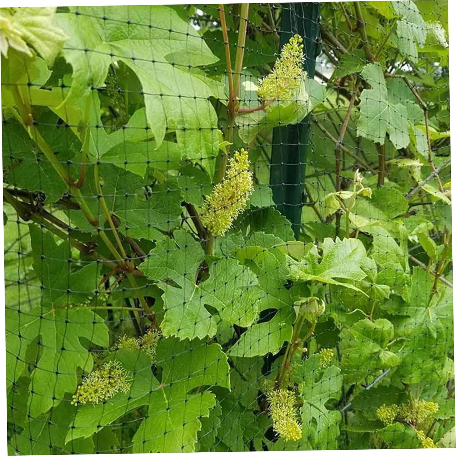 Deer Fence, 7 x 100 Feet Deer Fence Netting Reusable Protective Garden Netting for Plants Fruit Trees Vegetables Against Birds and Other Animals.