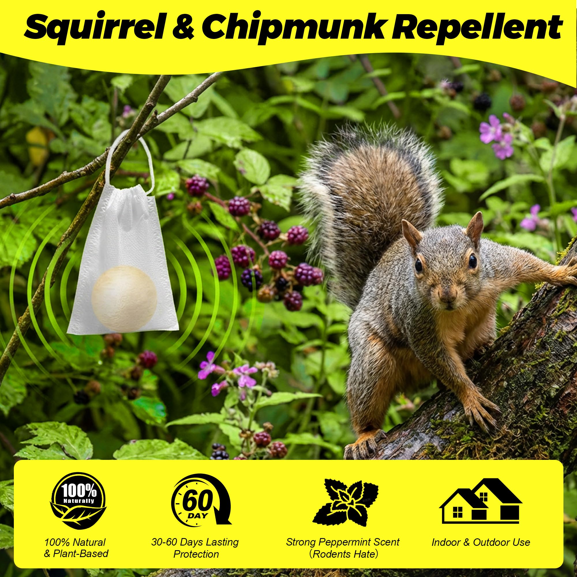 Palline repellenti per scoiattoli e scoiattoli, deterrente per scoiattoli, per uso esterno e interno, soffitta, giardino, auto, mangiatoie per uccelli, sicuro per animali domestici e bambini, dura 30