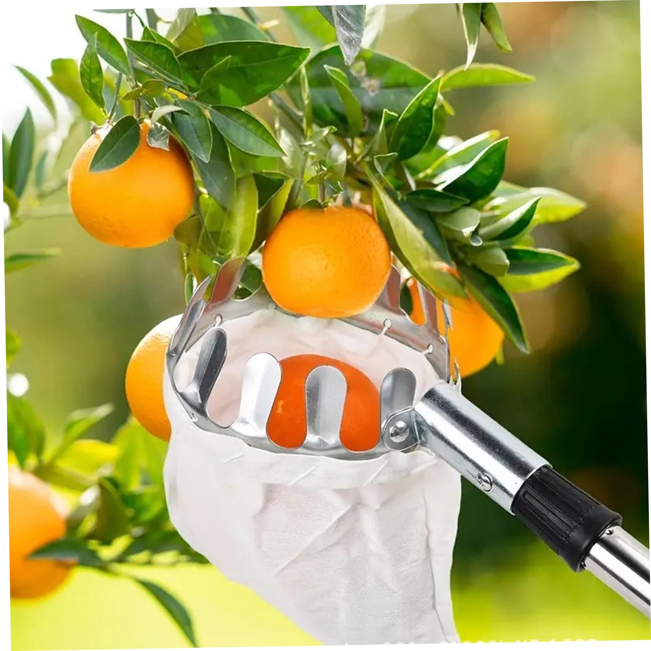 Raccoglifrutta, Asta raccoglifrutta telescopica a 10 sezioni con cestello – estende Fino a 4 m/13, 12 Piedi, Portatile per Mele, prugne, Argento e Verde, Asta con cestello telescopico