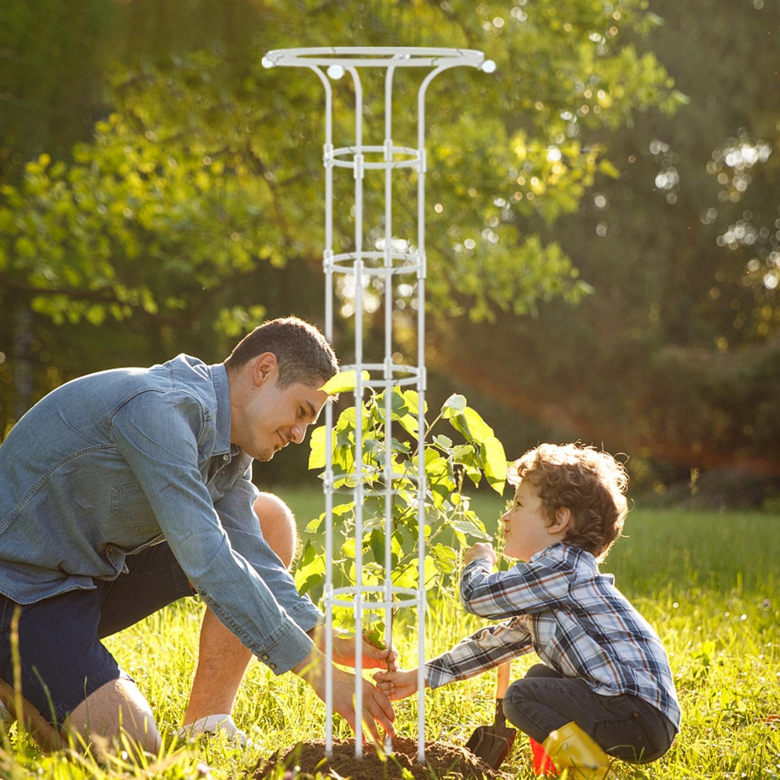 Obélisque de Jardin - Treillis Vertical en Acier Inoxydable pour