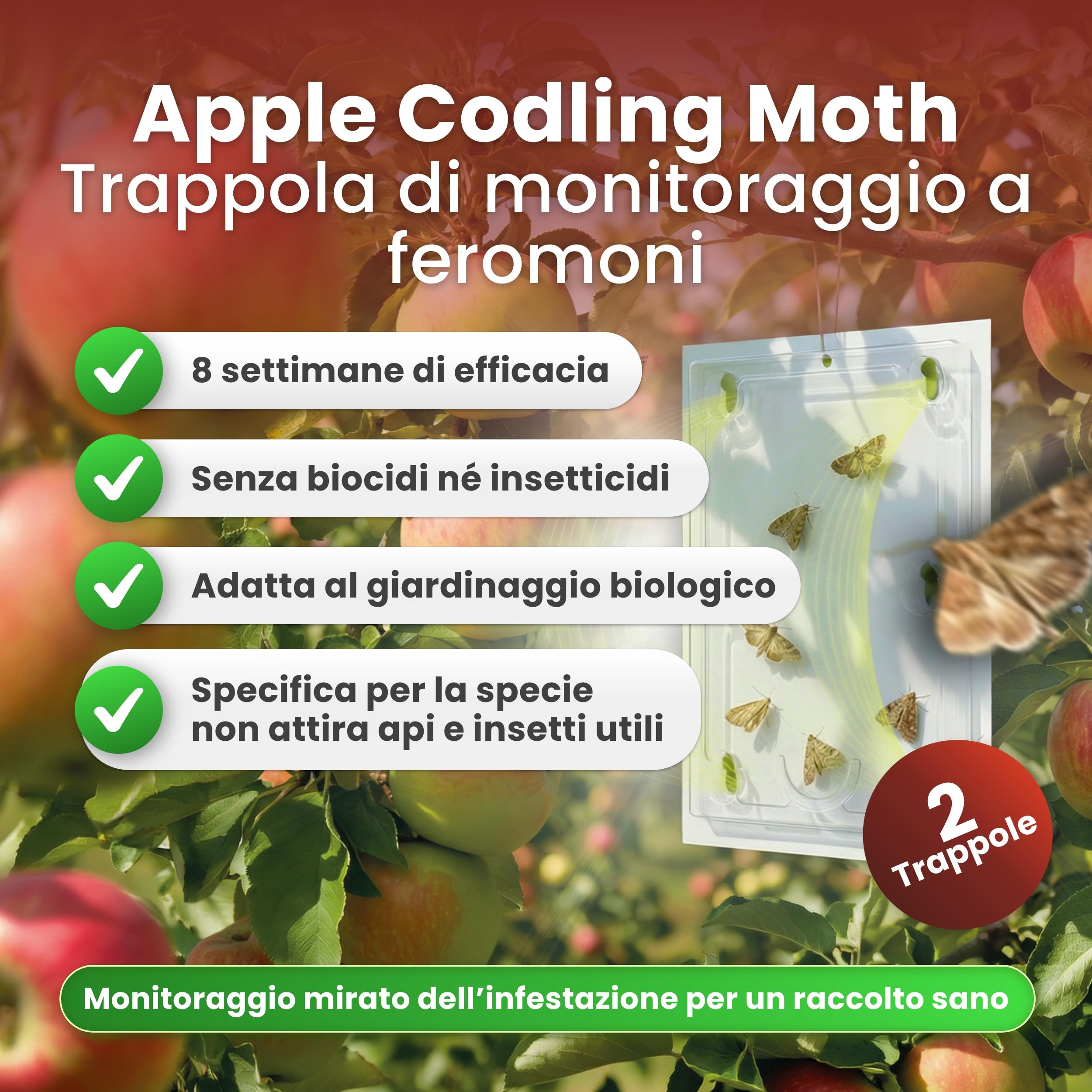 Trappola per feromoni per mele, set di 2 trappole per alberi da frutto, efficace trappola per avvolgere le prugne, protezione antitarme senza tossine per il melo, include attrattiva