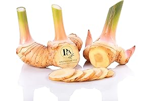 3 Galangal Rhizomes: Grow Fragrant Foliage & Culinary Delights!