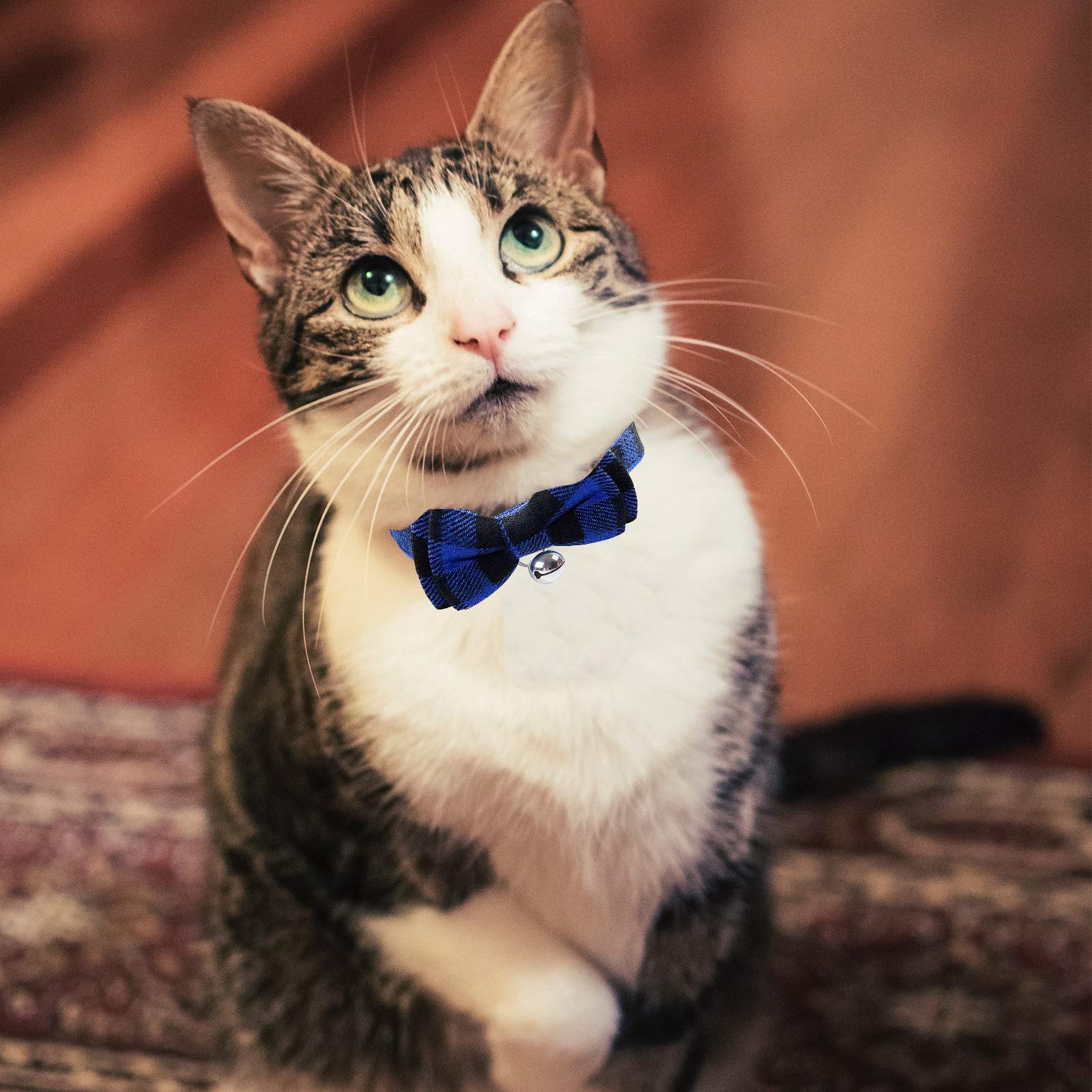 Blaues kariertes Katzenhalsband, Schnellverschluss, Kätzchen-Halsband, Fliege, Sicherheits-Halsband, mit Glöckchen, weiches Schottenkaro-Halsband, verstellbar, für Kätzchen, Welpen, kleine Haustiere