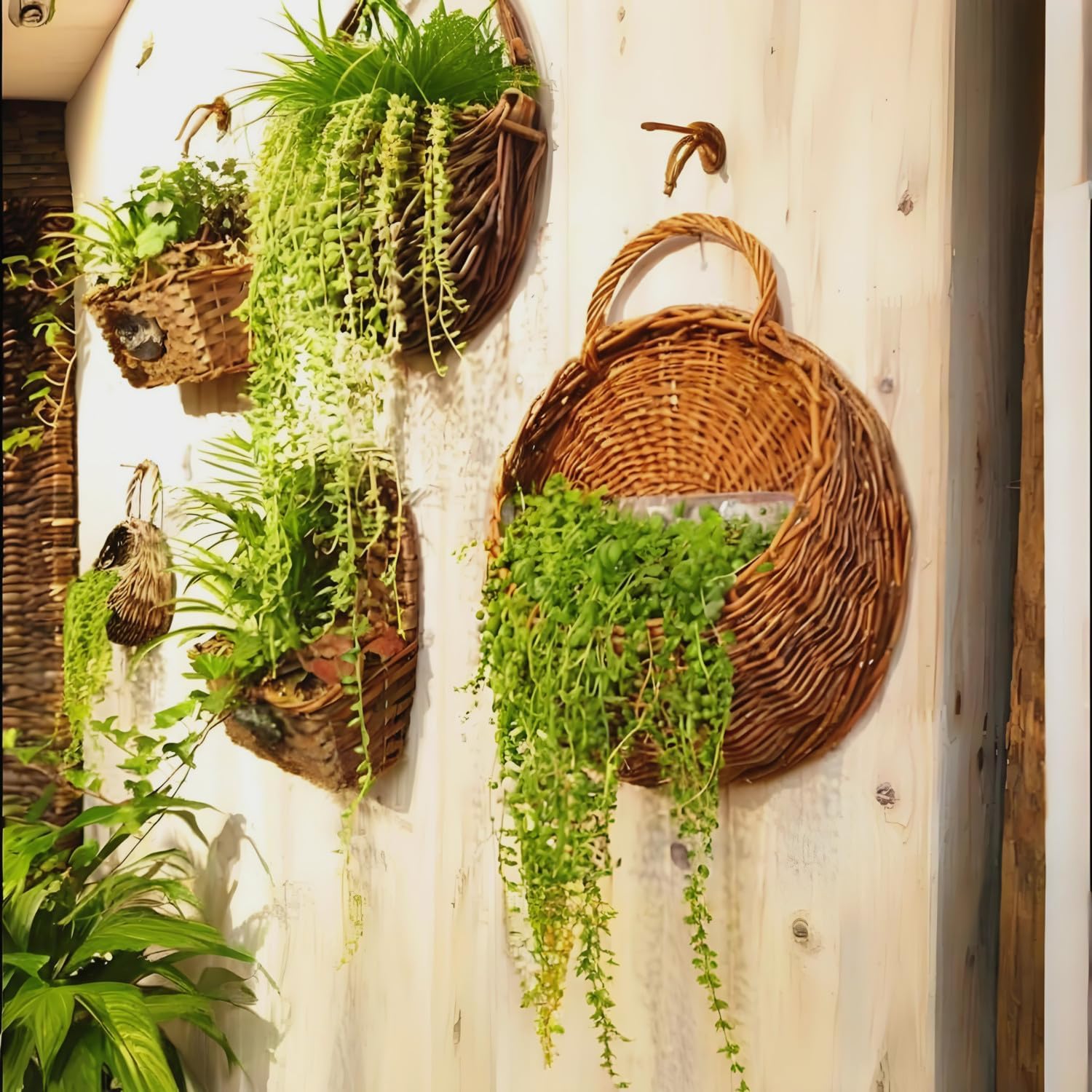 Wall Hanging Flower Basket, Handmade Wicker Hanging Basket for Plant Wall Mount Rattan Chlorophytum Comosum Hanging Basket for Front Door, Home, Garden. (M)