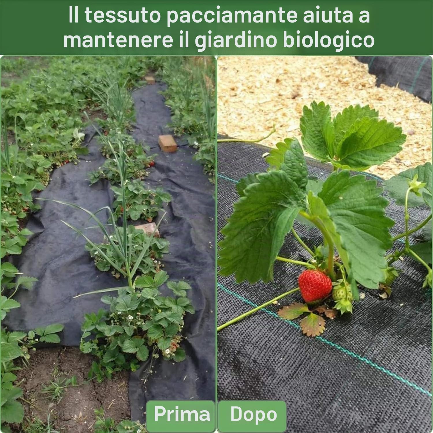 Telo Pacciamatura 3m x 25m, 90g/m² Telo Anti Erbacce per Orto, Giardino, Tessuto Permeabile all'Acqu, Resistente allo Strappo, Elevata Resistenza UV, Nero
