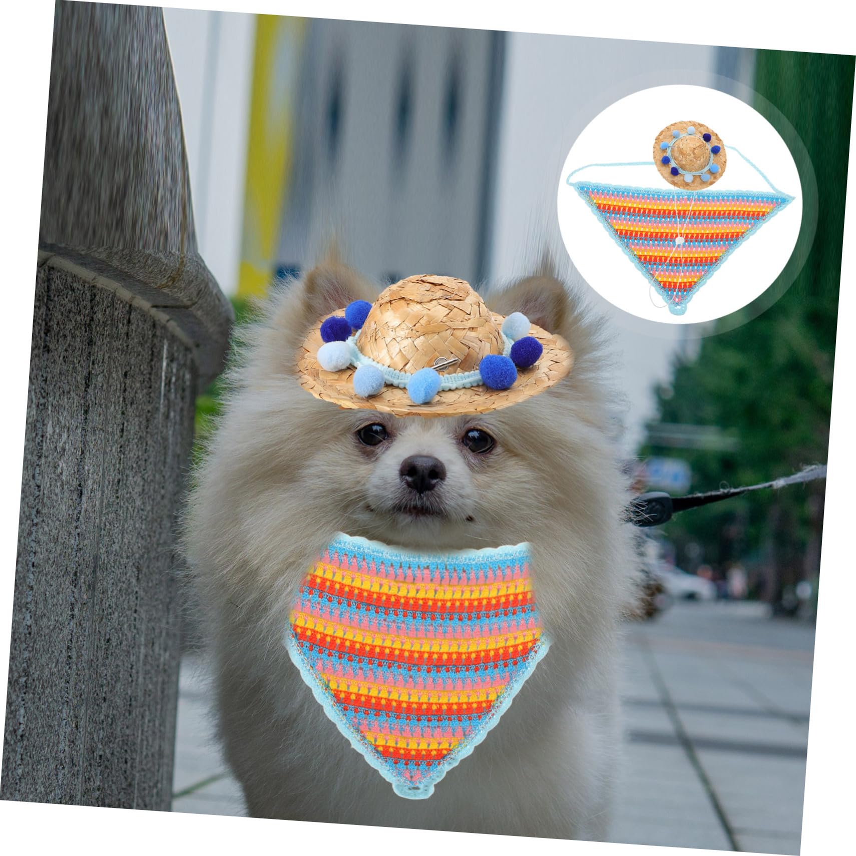 POPETPOP Chapeau pour Chien avec Coiffe Et Bandana Accessoire Photo Élégant pour Fête Danniversaire