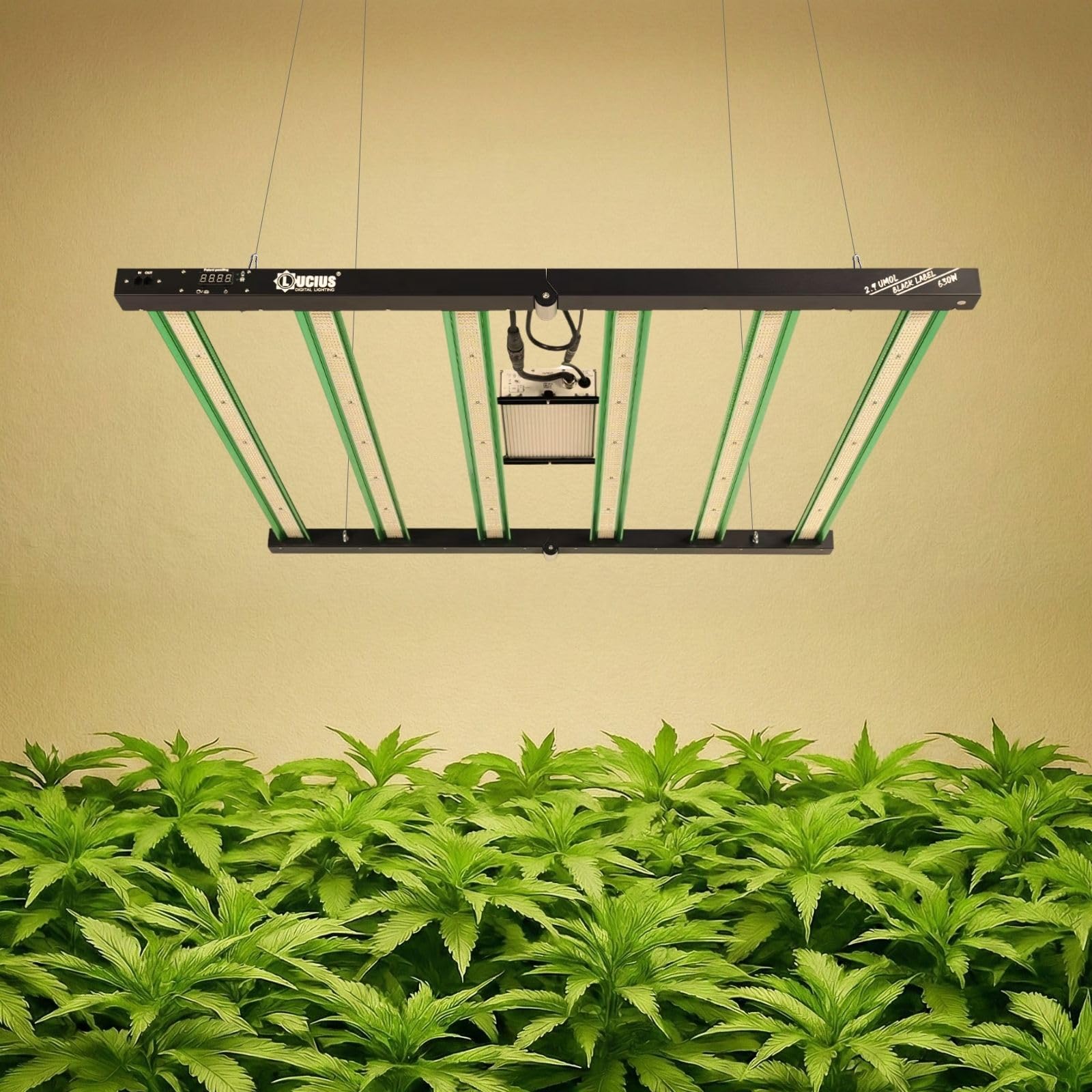 LUCIUS - Lámpara LED de 630W 2.9 Master Control - Cultivo espectro completo Crecimiento/Floración, UV IR, Función Anochecer/Amanecer, Regulable, Invernaderos y plantas interior, hortalizas y flores