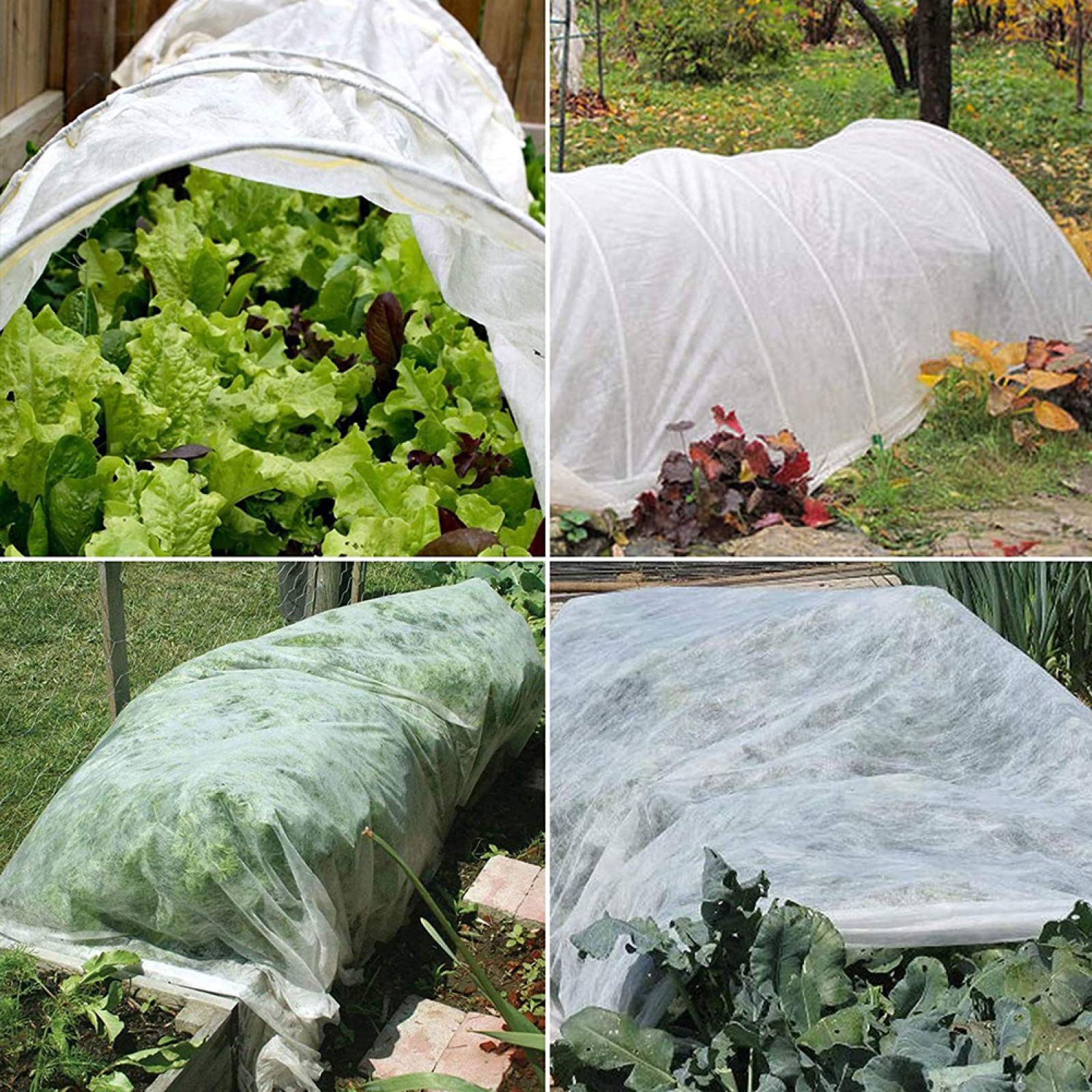 Telo Protettivo Per Piante Antigelo: Copertura 9,8 X 49,2 M, 47,8 G/yd², Riutilizzabile – Salva Le Tue Piante Dal Freddo! - 5