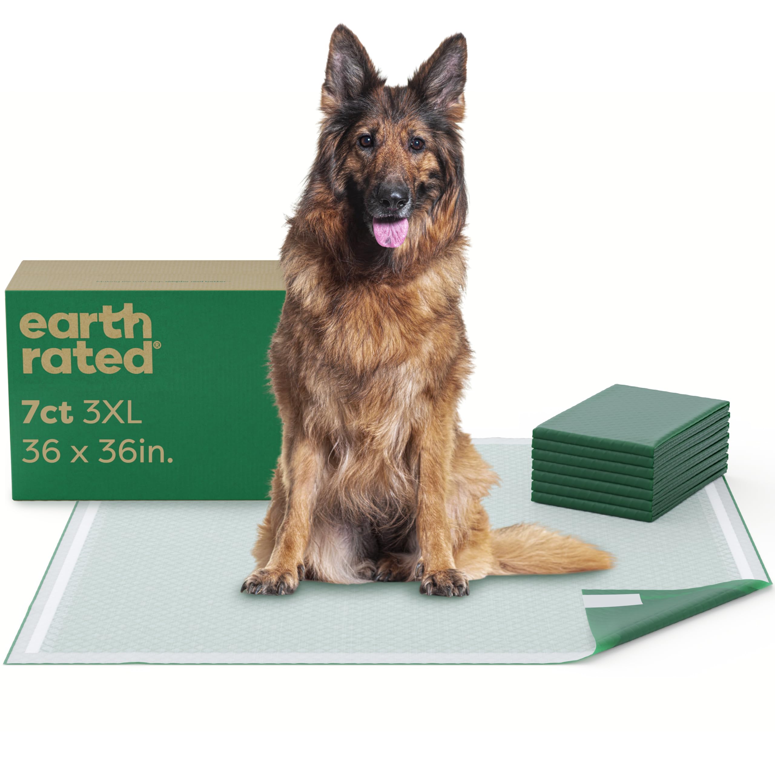 Puppy Pee Pads fuites évitées avec le grand tapis absorbant Earth Rated