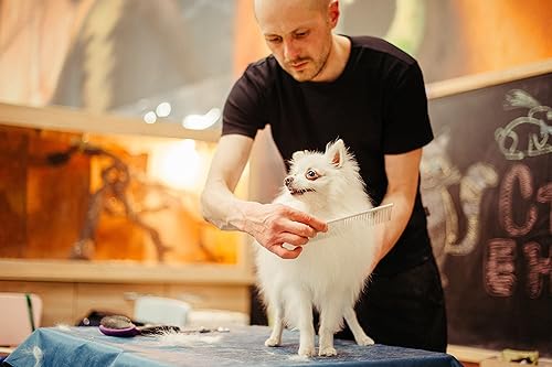 Miniatura 8 de Pettom Herramienta de aseo de acero para mascotas con acabado de caniche