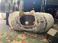 Review Image by Cats love! Cats love!
