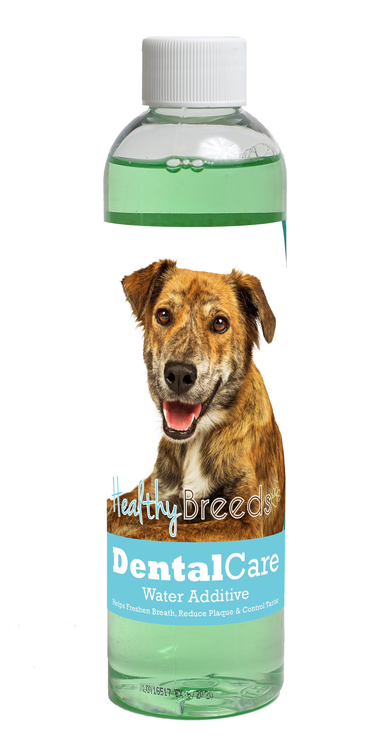 Healthy Breeds Dog Dental Care Water Additive for Plott - Helps Freshen Breath, Reduce Plaque &amp; Control Tartar - Mint Flavor - 8 oz