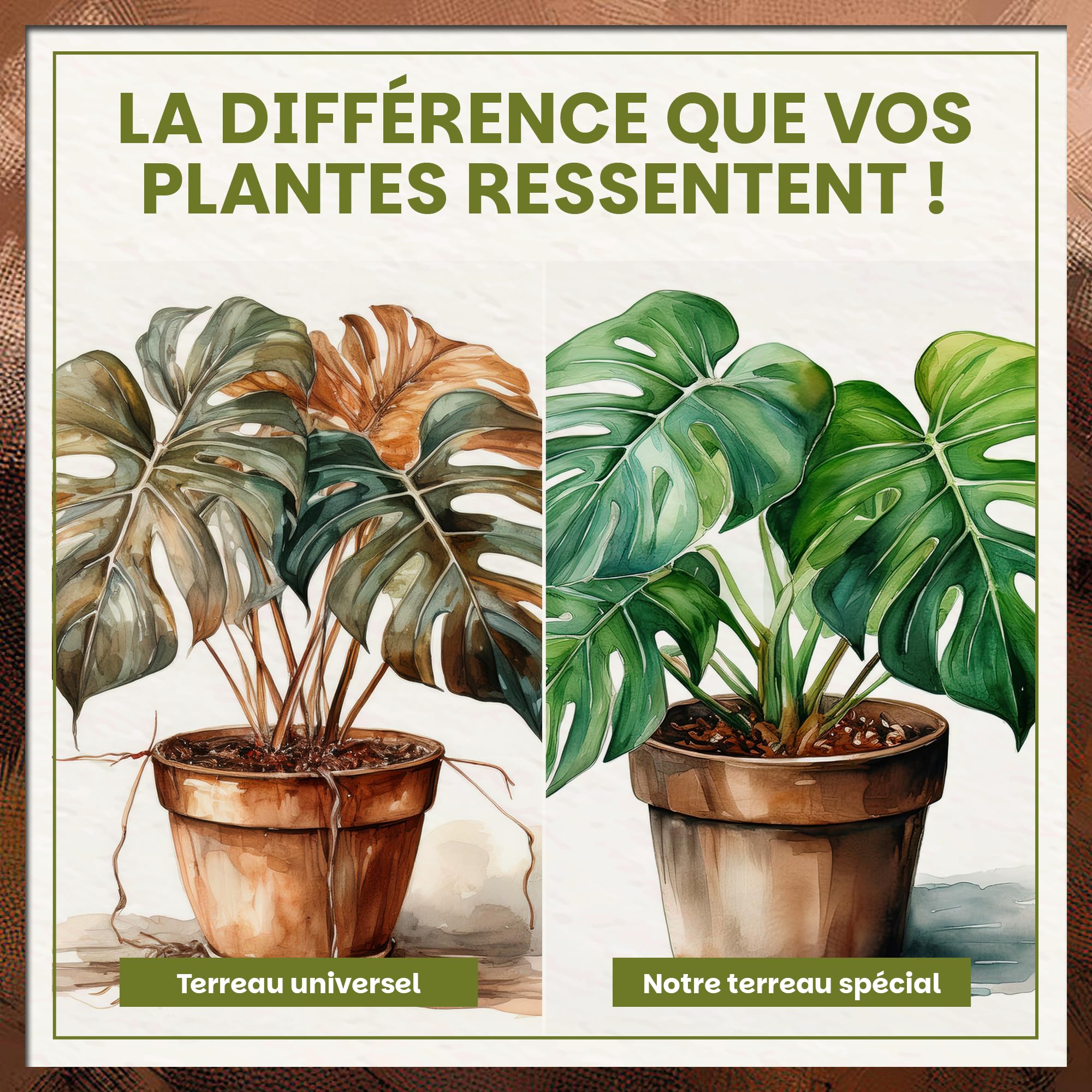 Green Home Terreau Aroid 36L – Substrat spécial Monstera, Philodendron & Plantes Tropicales – Terreau avec Perlite pour Un Drainage Optimal