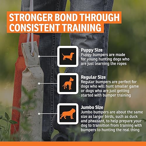 Miniatura 5 de SportDOG Brand SportHunter Family - Tenis remotos  incluyendo la nueva serie X  impermeables, recargables collares de entrenamiento para perros con