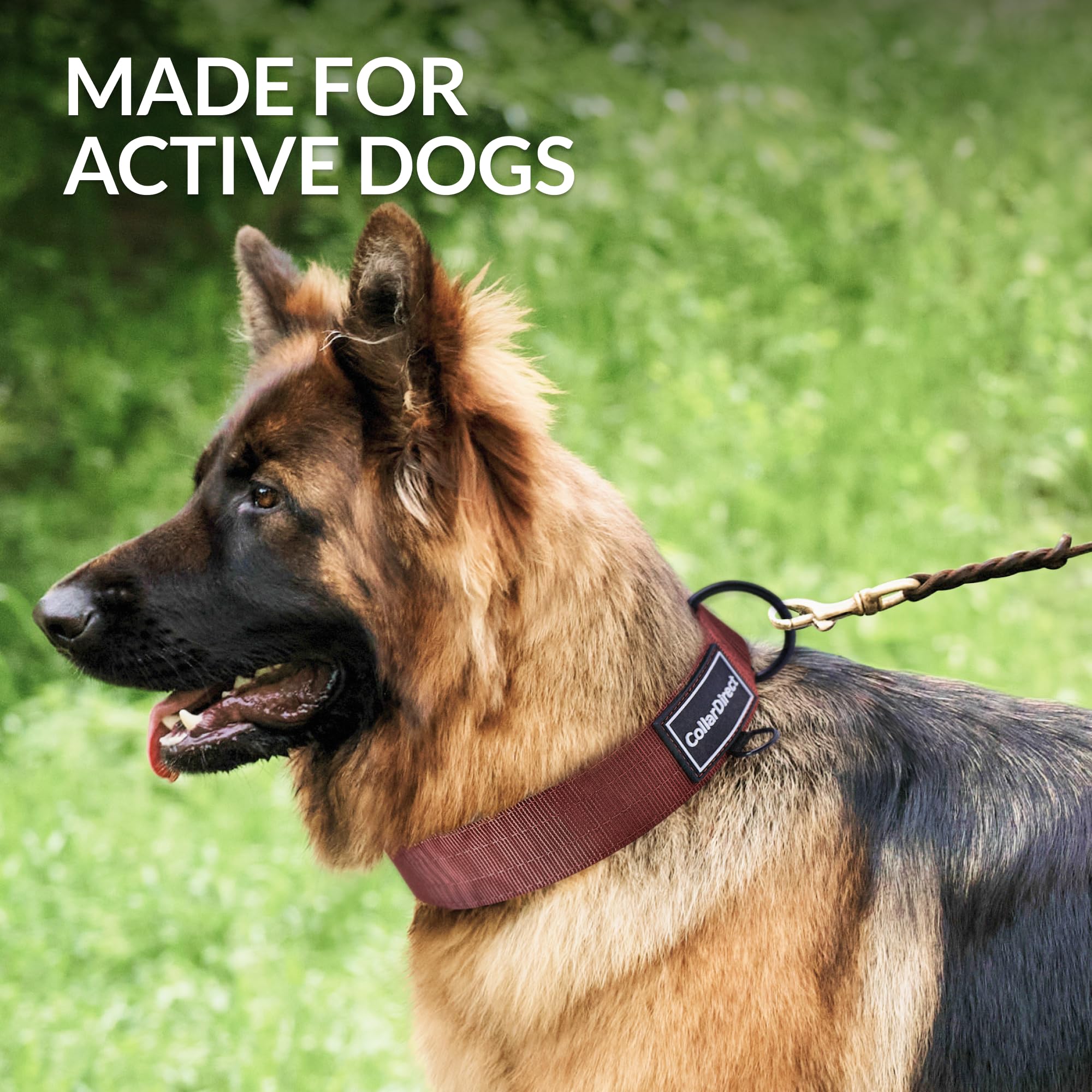 Heavy Duty Dog Collar for Large or Medium Dogs Adjustable Strong Dog Collar for Active Dogs Double-Layered Nylon (Rust - Image 2