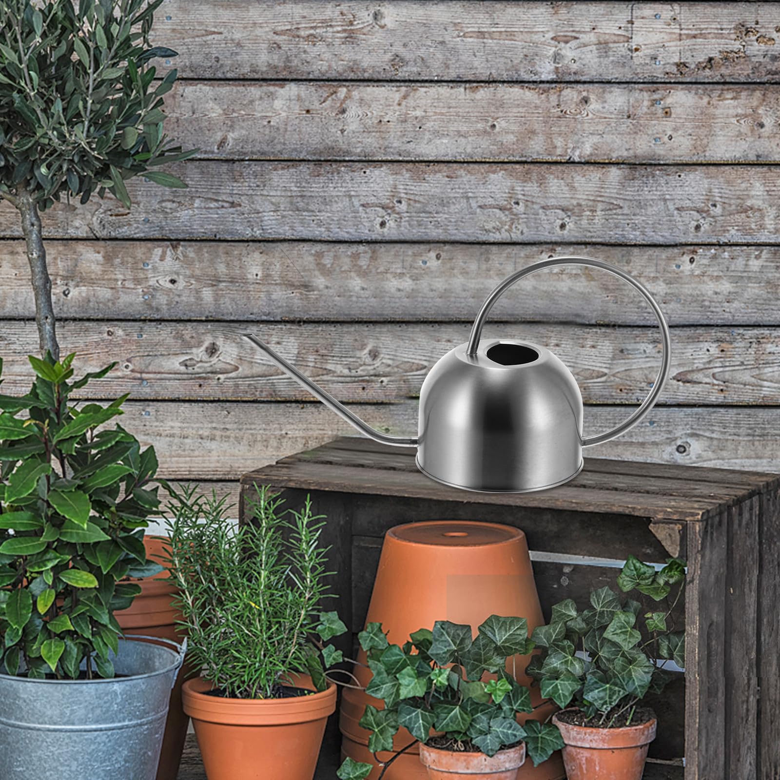 Levemolo Regadera de Acero Inoxidable de Largo Alcance, 1,5 L, Plata, para Flores y Plantas Colgantes, Jardín Exterior, Resistente Corrosión y Ecológica